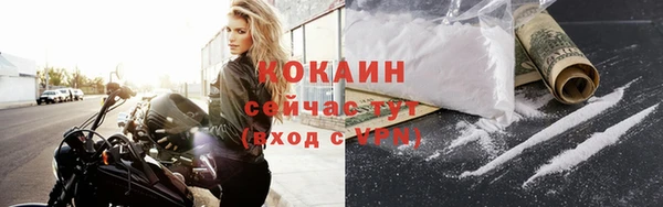 spice Верея